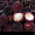 Pulasan