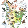 North America Animal Map