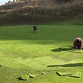 Annua Grass Golf