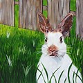 Rabbit Canvas Art Painting