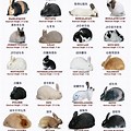Rabbit Size Chart