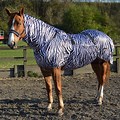 Sweet Itch Horse Fly Blanket