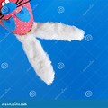 Upside Down Bunny White Background