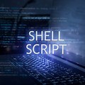 What Is Shell