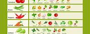 Planting Guide Chart for Vegetable