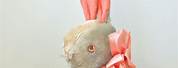 Vintage Stuffed Toy Easter Bunny