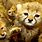 Baby Animals Live Wallpaper