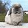 Blue Point Holland Lop