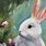 Bunny Rabbit Art Painting