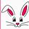 Cartoon Easter Bunny Face