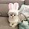 Cat with Bunny Ears