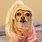 Chihuahua with Wig