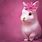 Cute Fluffy Pink Bunny