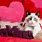 Cute Valentine Kittens