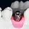 Dental Implant Final Abutment