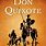 Don Quixote Story