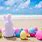 Easter Bunny Beach