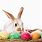 Easter Eggs Bunny Rabbits
