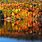 Fall Foliage Lake George NY