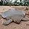 Giant Softshell Turtle Plush