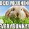 Good Morning Bunny Meme