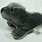 Gray Seal Stuffed Animal