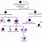 Hematopoiesis Diagram