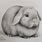 Holland Lop Bunny Drawing