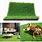 Indoor Grass for Dogs