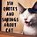Kitten Sayings