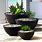 Large Outdoor Planters Cheap
