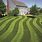 Lawn Striping Designs