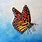 Monarch Butterfly Watercolor