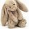Plush Rabbit Stuffed Animal