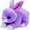 Purple Bunny Stuffed Animal