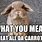 Rabbit Rabbit Memes