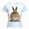 Rabbit Shirts