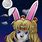 Sailor Moon Rabbit