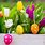 Spring Easter Desktop Wallpaper
