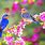 Spring Flowers with Birds