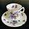Victorian Tea Cups and Saucers