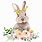 Woodland Rabbit Clip Art