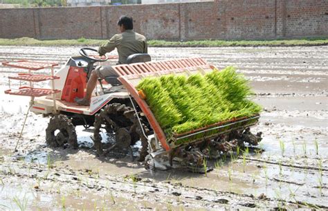 Teknologi Pertanian