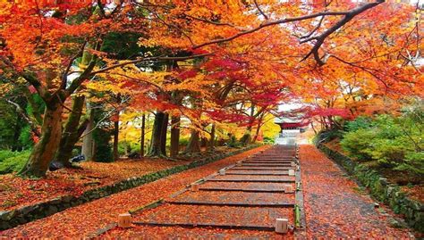 Aki Kecantikan musim gugur Jepang