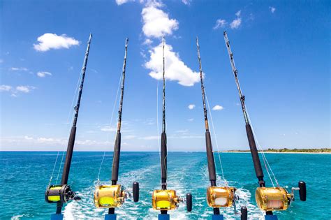 Cleaning and Preparing Your Catch After a Deep Sea Fishing Trip in Playa del Carmen