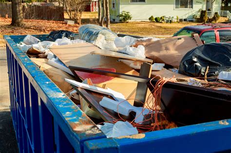 Cleanup and Debris Removal
