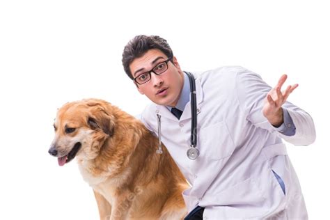 Dokter Hewan Anjing