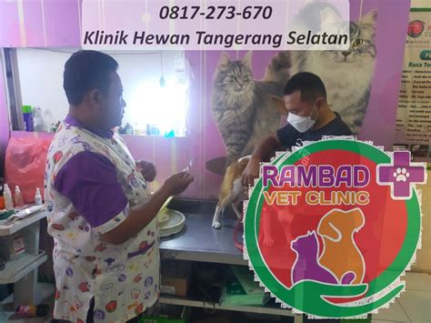 Dokter Hewan Tangsel