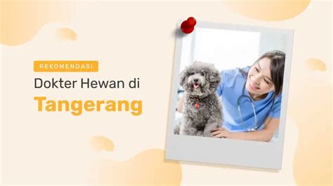 Lokasi Dokter Hewan Tangerang