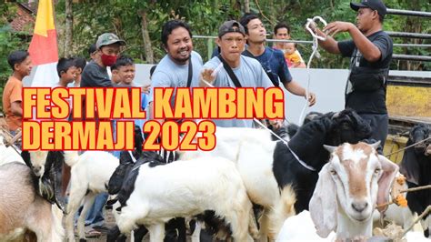 Festival Kambing di Nagano